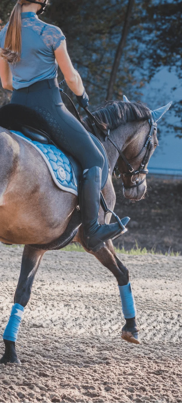 Moça cavalgando em dia de ceu azul, na hipica. Veste roupa de hipica, blusa azul e calça leg preta.